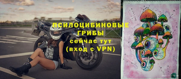 экстази Алексин